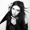 Press Shot 3